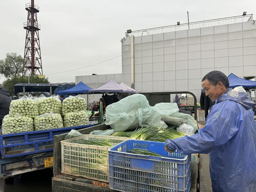 北京新發(fā)地市場 助推商戶打造農(nóng)產(chǎn)品品牌，提升初級農(nóng)產(chǎn)品價值