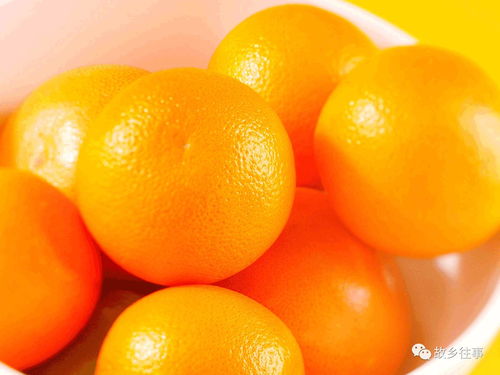 故鄉的滋味 贛南臍橙11月12日正式開摘
