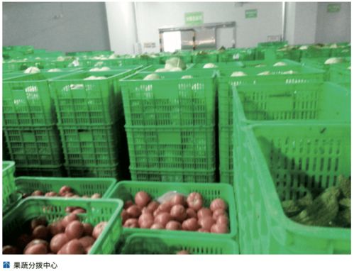 農產品冷鏈‘最先一公里’ 基礎設施亟待發展，破解初級農產品保鮮難題