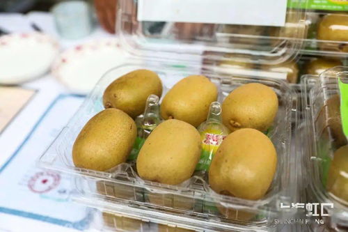 助力脫貧攻堅，品味地道風物——魯迅公園特色農產品直銷活動正式啟動