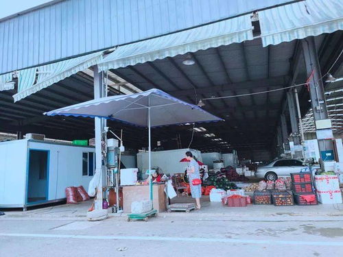 南充川北農產品交易中心 區域農產品流通的重要樞紐